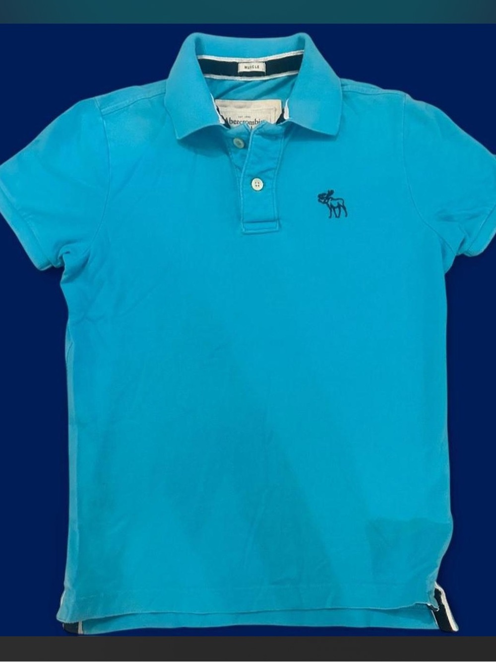 Abercrombie & Fitch Bright Turquoise Kids Polo